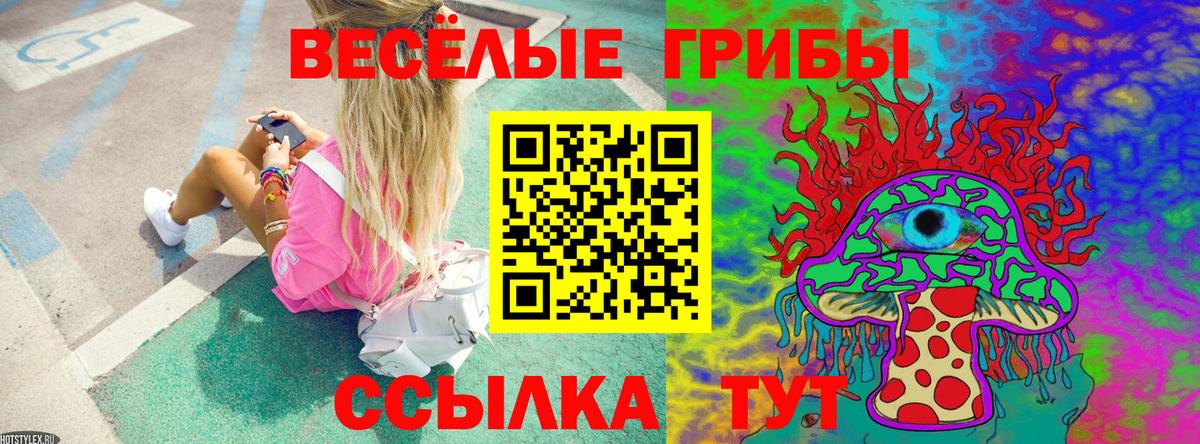Галлюциногенные грибы Psilocybine cubensis Мыски