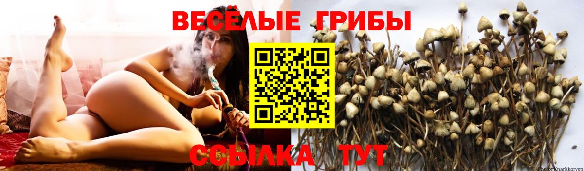 Мыски  Псилоцибиновые грибы Cubensis  Псилоцибиновые грибы MAGIC MUSHROOMS  Вход с VPN 